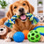 Dog Toys & Enrichment