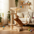 Cat Scratchers