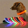 Glow In The Dark Dog Leash Dogs Luminous Fluorescent Pet Dog Collar
