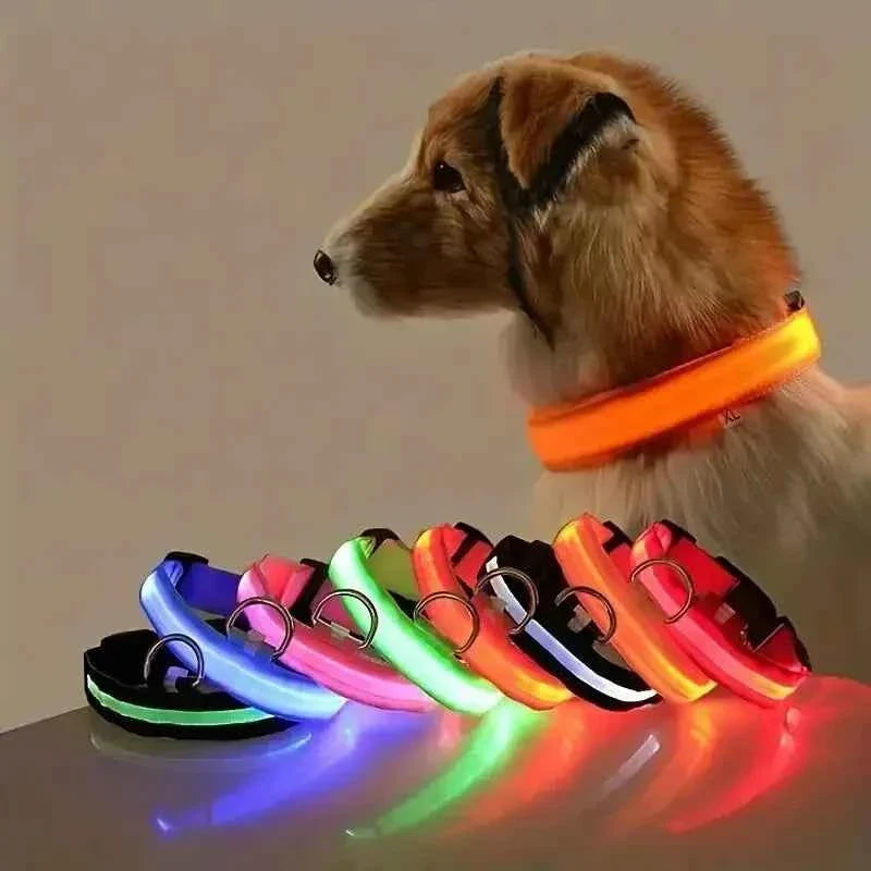 Glow In The Dark Dog Leash Dogs Luminous Fluorescent Pet Dog Collar