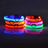 Glow In The Dark Dog Leash Dogs Luminous Fluorescent Pet Dog Collar