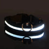 Glow In The Dark Dog Leash Dogs Luminous Fluorescent Pet Dog Collar
