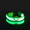 Glow In The Dark Dog Leash Dogs Luminous Fluorescent Pet Dog Collar