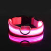 Glow In The Dark Dog Leash Dogs Luminous Fluorescent Pet Dog Collar