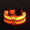 Glow In The Dark Dog Leash Dogs Luminous Fluorescent Pet Dog Collar