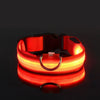 Glow In The Dark Dog Leash Dogs Luminous Fluorescent Pet Dog Collar