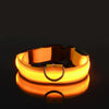 Glow In The Dark Dog Leash Dogs Luminous Fluorescent Pet Dog Collar