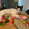 Mixed Pack Multi-Cat Toy Bundle